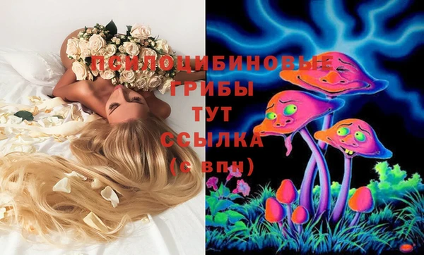гидра Алексеевка