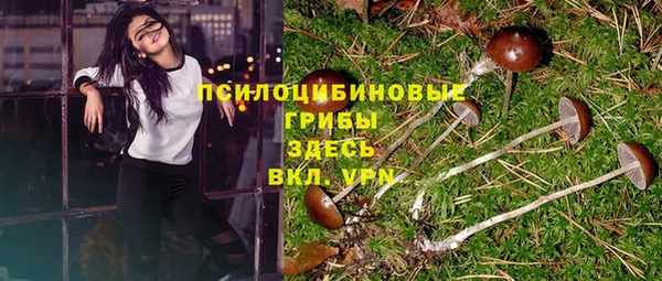 гидра Алексеевка