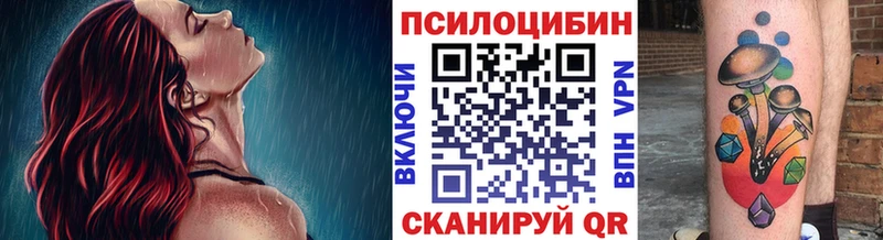 Галлюциногенные грибы ЛСД  купить наркоту  Наволоки 
